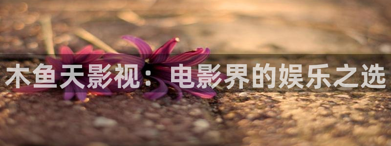 91蜜桃羞羞影院