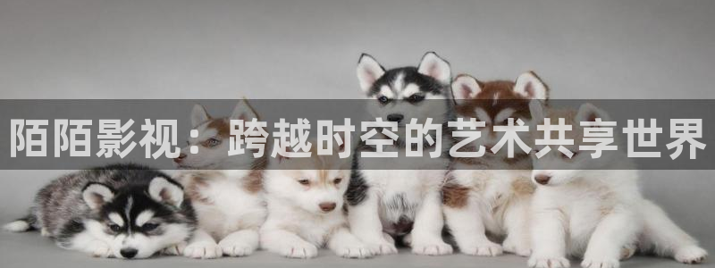 水蜜桃在线电影